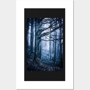 Scary forest at night Posters and Art